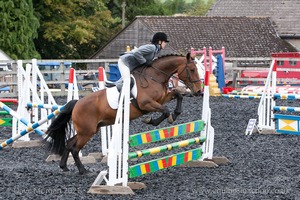 Class 7 - Fences 3' to 3'3